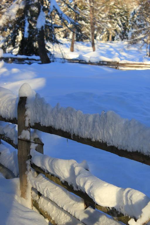Berggasthof Pension Pfitscher Senale-San Felice Esterno foto