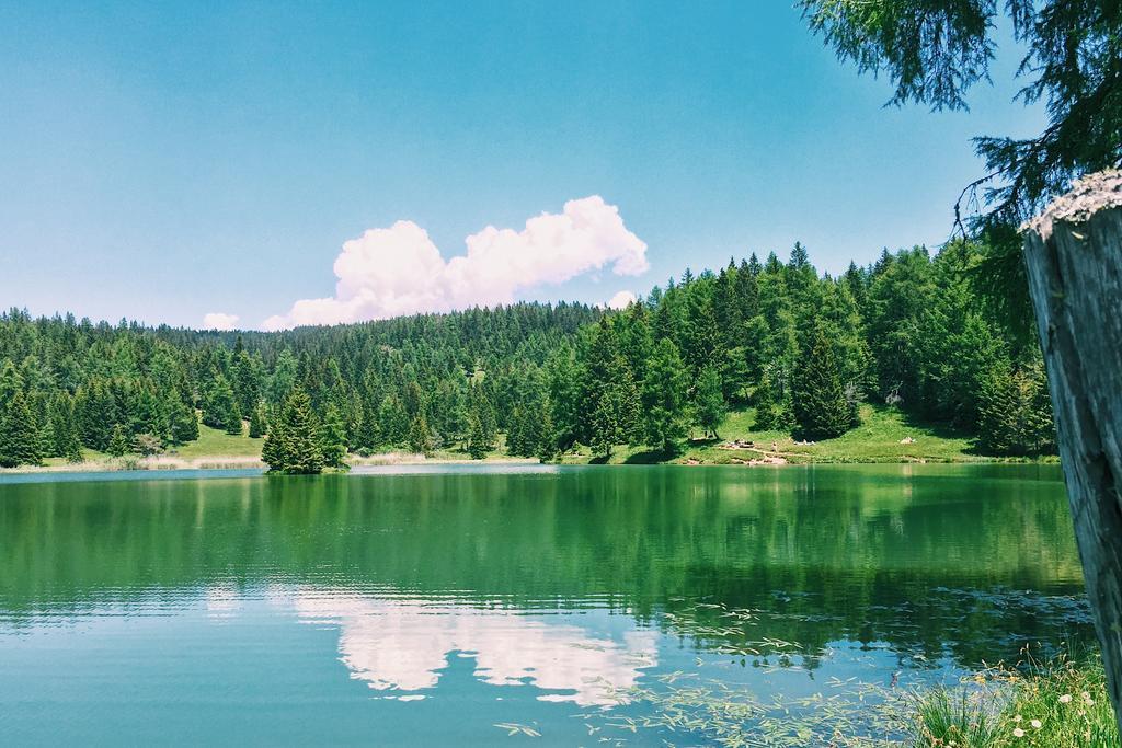 Berggasthof Pension Pfitscher Senale-San Felice Esterno foto