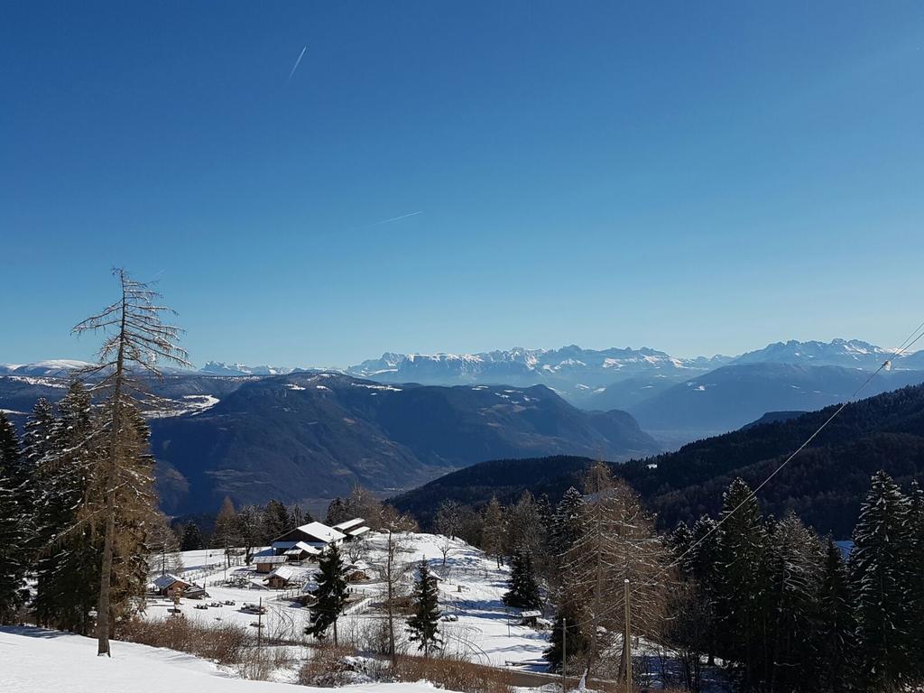 Berggasthof Pension Pfitscher Senale-San Felice Esterno foto